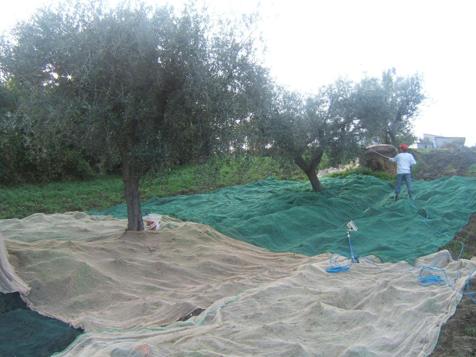 Agriturismo Il Vecchio Carro Campli Buitenkant foto